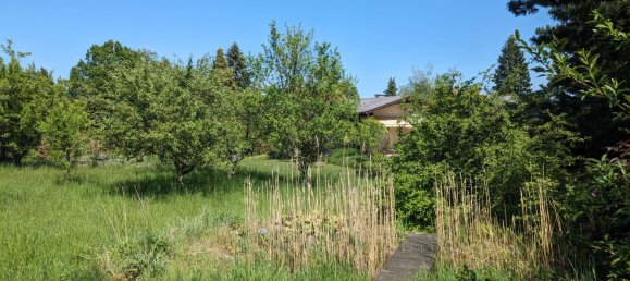 Land in Bad Fischau-Brunn, Austria No. 130483 3