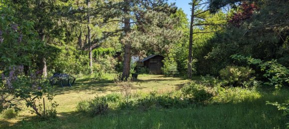 Land in Bad Fischau-Brunn, Austria No. 130483 4