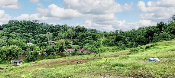  Commercial property in Kathu, Thailand No. 13876 3