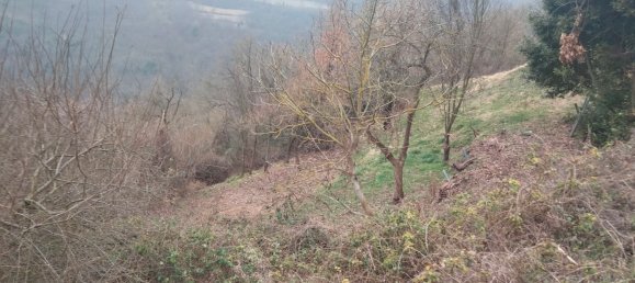 Casa de 10 divisões em Dego, Italy N.º 157532 8