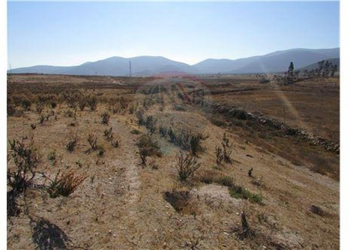  Land in Coquimbo, Chile No. 673