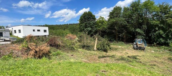 Terrain à Buchkirchen, Austria No. 248385 3