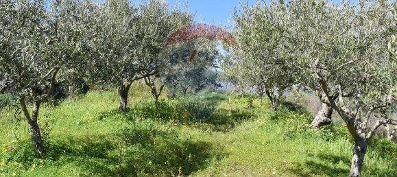 3 Schlafzimmer Villa in Monreale, Italy, Nr. 51722 43