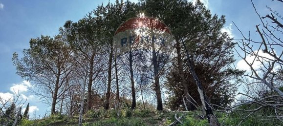 3 Schlafzimmer Villa in Monreale, Italy, Nr. 51722 50