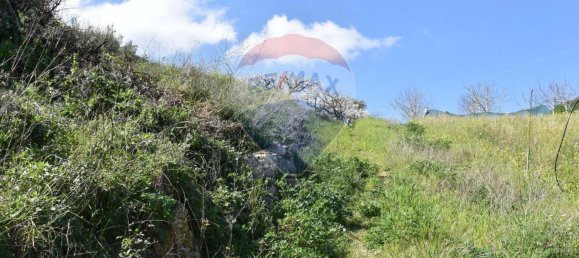 3 Schlafzimmer Villa in Monreale, Italy, Nr. 51722 49