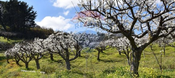 3 Schlafzimmer Villa in Monreale, Italy, Nr. 51722 2