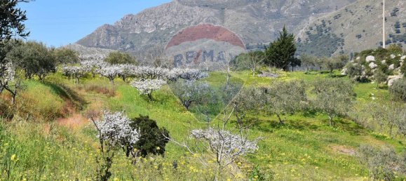 3 Schlafzimmer Villa in Monreale, Italy, Nr. 51722 41