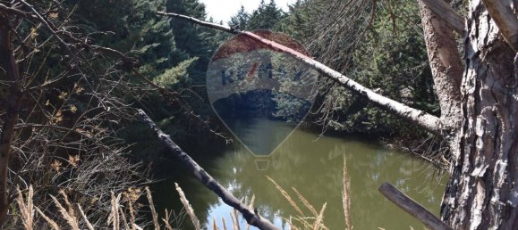 3 Schlafzimmer Villa in Monreale, Italy, Nr. 51722 45