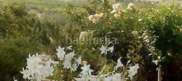 Дом с 3 спальнями в Альмерия, Испания № 34725 66