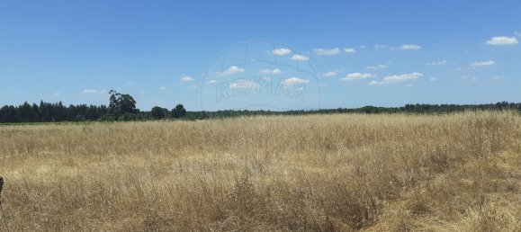  قطعة أرض في Alpiarca, Portugal 7500متر مربع رقم 62220 3