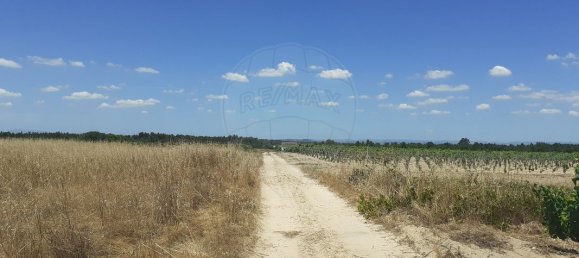  قطعة أرض في Alpiarca, Portugal 7500متر مربع رقم 62220 2
