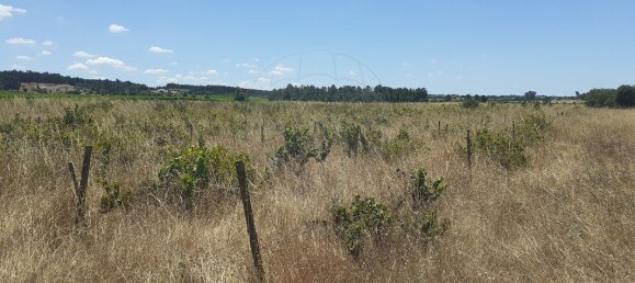  قطعة أرض في Alpiarca, Portugal 7500متر مربع رقم 62220 4