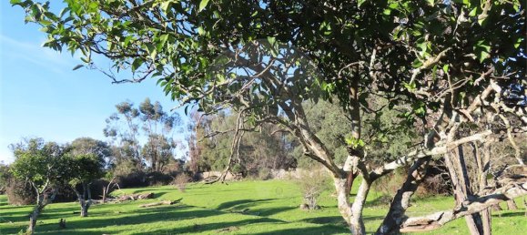 9 غرف نوم منزل في Idanha a Nova, Portugal رقم 176995 15