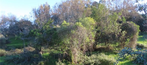 9 غرف نوم منزل في Idanha a Nova, Portugal رقم 176995 50