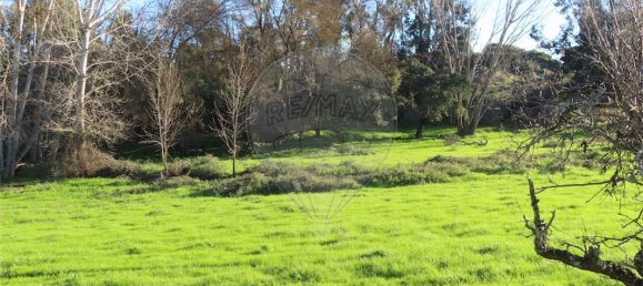 9 غرف نوم منزل في Idanha a Nova, Portugal رقم 176995 10