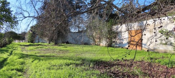 9 غرف نوم منزل في Idanha a Nova, Portugal رقم 176995 9