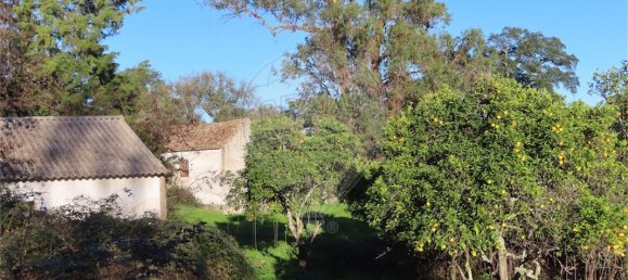 9 غرف نوم منزل في Idanha a Nova, Portugal رقم 176995 49