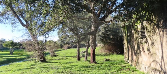 9 غرف نوم منزل في Idanha a Nova, Portugal رقم 176995 14