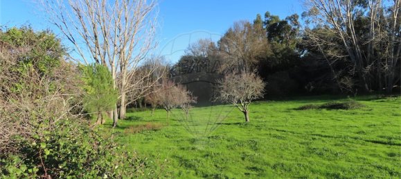 9 غرف نوم منزل في Idanha a Nova, Portugal رقم 176995 11