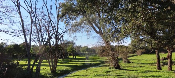 9 غرف نوم منزل في Idanha a Nova, Portugal رقم 176995 17