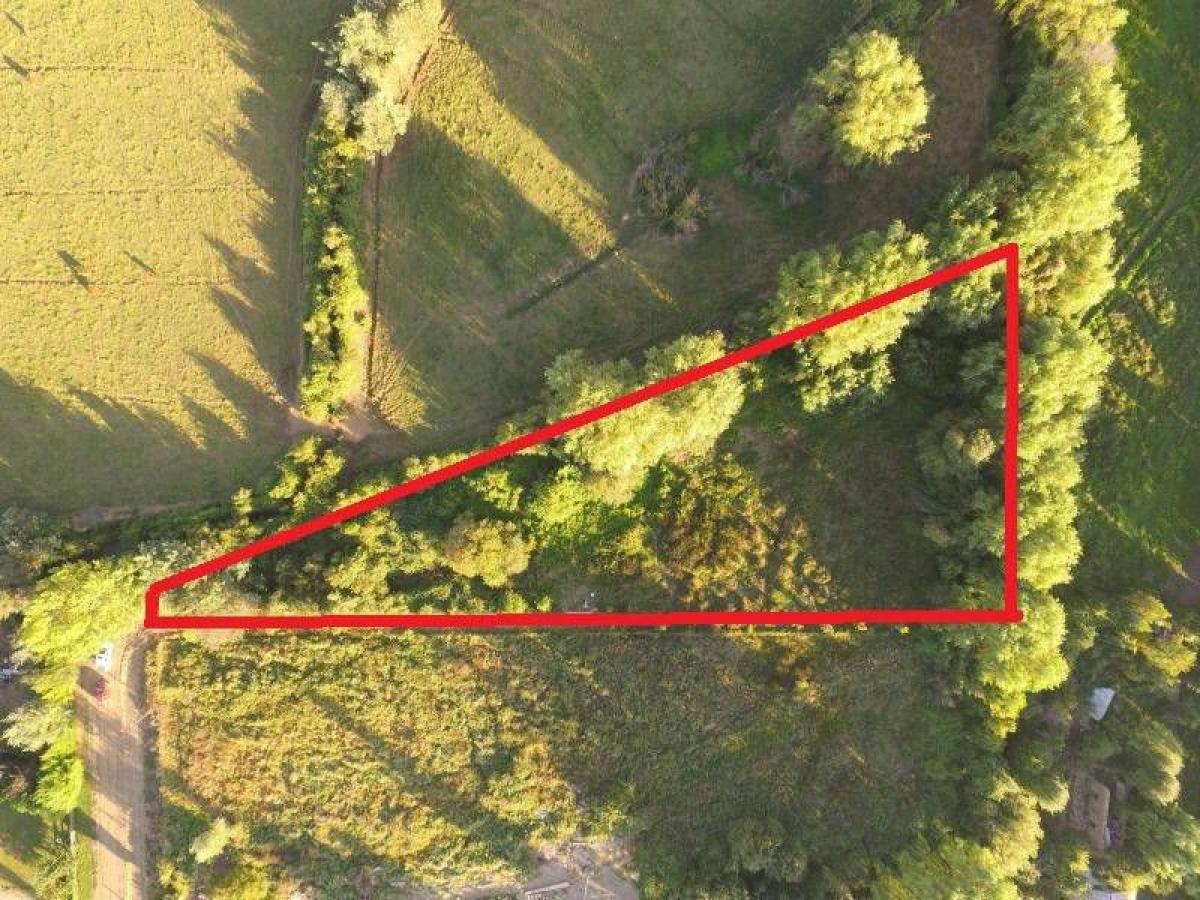  Land in Maule, Chile No. 1098