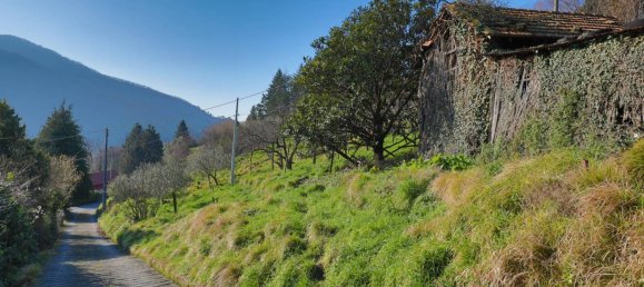 3 chambres Appartement à Serra Riccò, Italy No. 373214 25