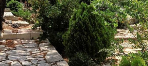 4 bedrooms Villa in Pera Pedi, Cyprus No. 15164 3