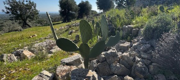 Studio in Monopoli, Italy No. 39610 11