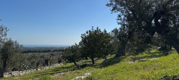 Studio in Monopoli, Italy No. 39610 23