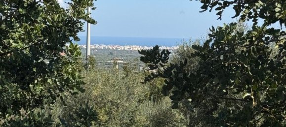 Studio in Monopoli, Italy No. 39610 44