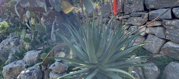 Studio in Monopoli, Italy No. 39610 48