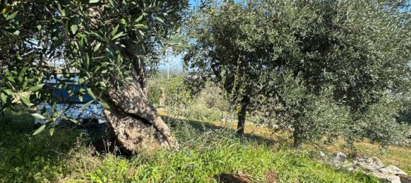 Studio in Monopoli, Italy No. 39610 17