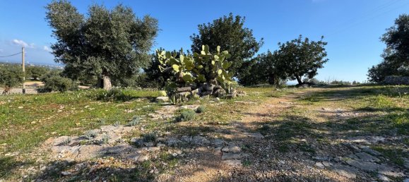 Studio in Monopoli, Italy No. 39610 38