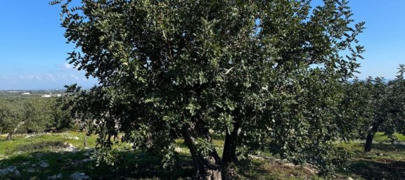 Studio in Monopoli, Italy No. 39610 2