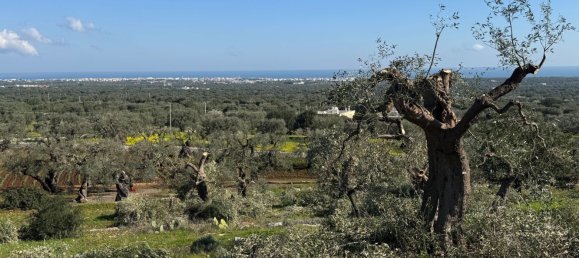 Studio in Monopoli, Italy No. 39610 50