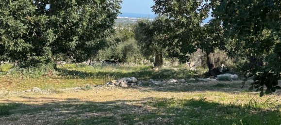 Studio in Monopoli, Italy No. 39610 42