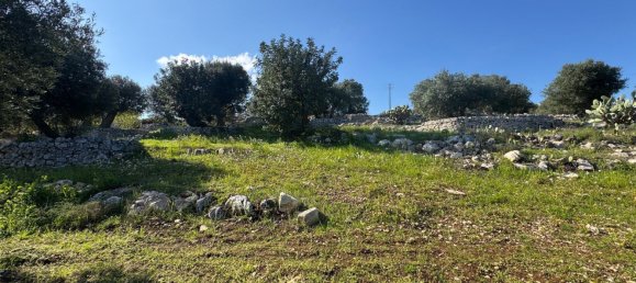 Studio in Monopoli, Italy No. 39610 14