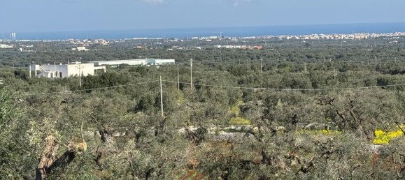 Studio in Monopoli, Italy No. 39610 49