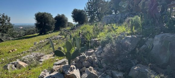 Studio in Monopoli, Italy No. 39610 12