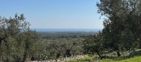 Studio in Monopoli, Italy No. 39610 31