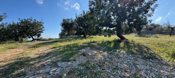 Studio in Monopoli, Italy No. 39610 39