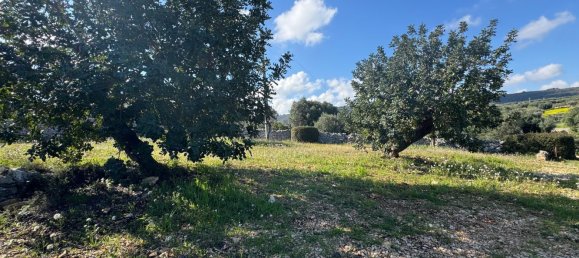 Studio in Monopoli, Italy No. 39610 47