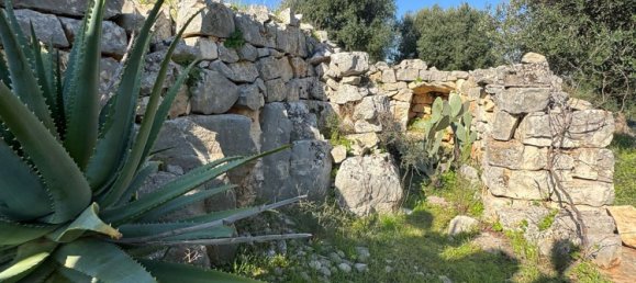 Studio in Monopoli, Italy No. 39610 10