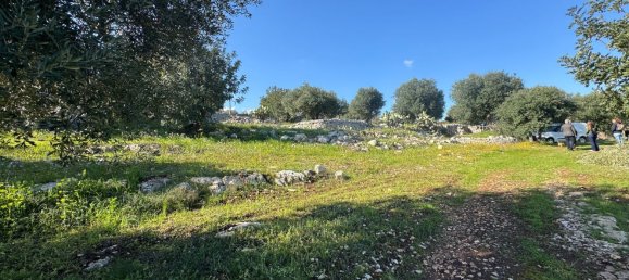 Studio in Monopoli, Italy No. 39610 15