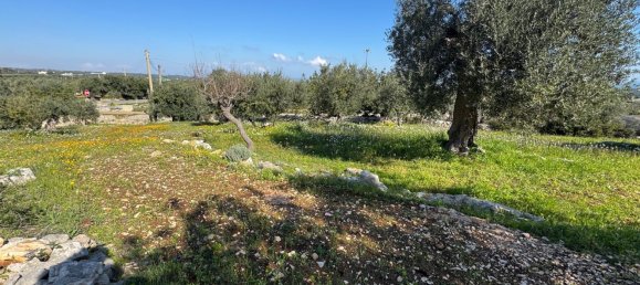 Studio in Monopoli, Italy No. 39610 35