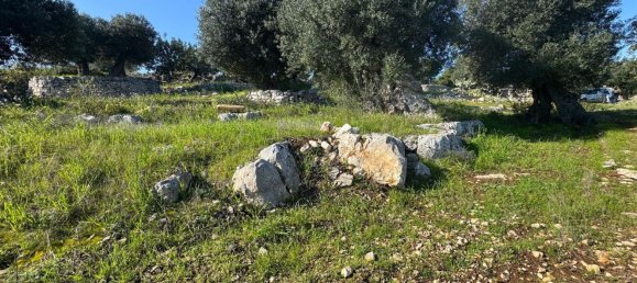 Studio in Monopoli, Italy No. 39610 16