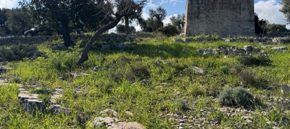 Studio in Monopoli, Italy No. 39610 24