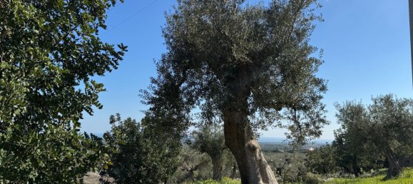 Studio in Monopoli, Italy No. 39610 33