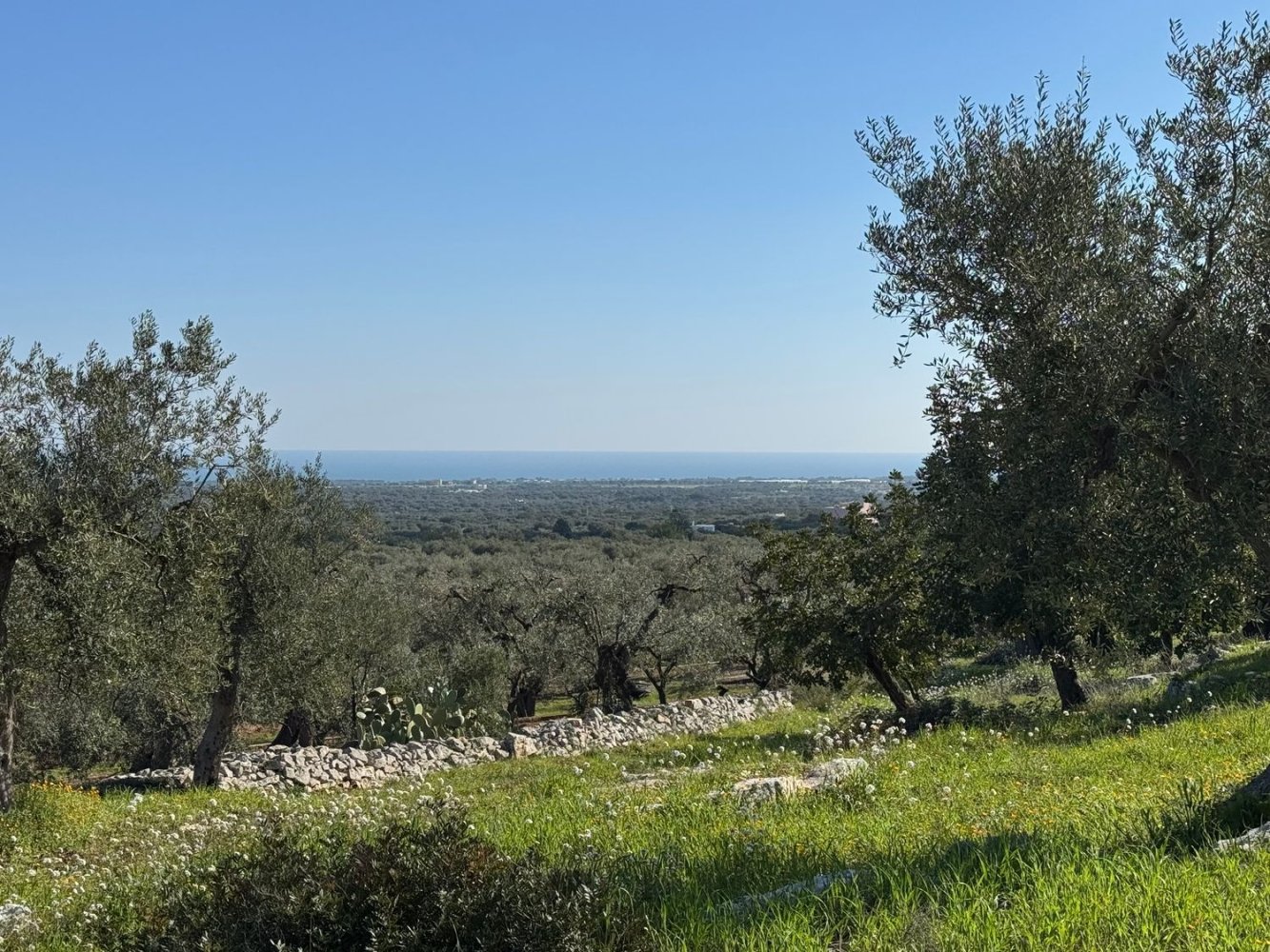 Studio in Monopoli, Italy No. 39610