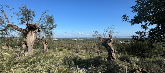 Studio in Monopoli, Italy No. 39610 13